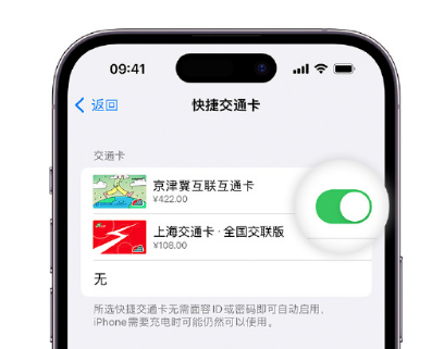 克拉玛依apple维修点分享iPhone上更换Apple Pay快捷交通卡手绘卡面 