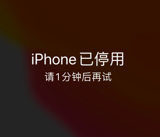 克拉玛依苹果手机维修分享:iPhone 显示“不可用”或“已停用”怎么办？还能保留数据吗？ 