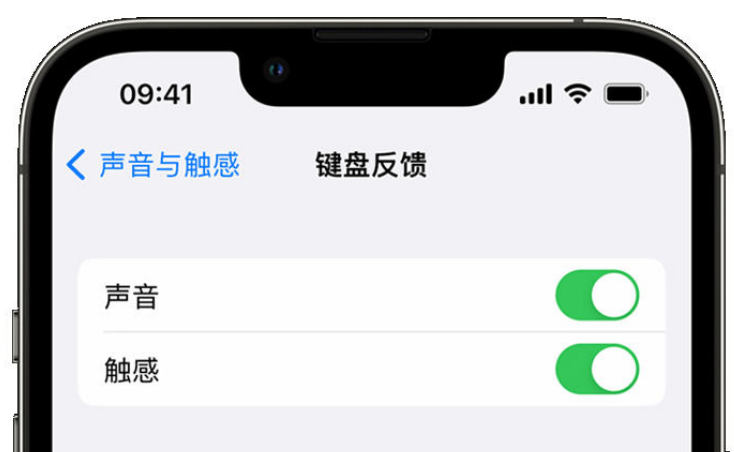 克拉玛依苹果手机维修分享iPhone 14触感键盘使用方法 