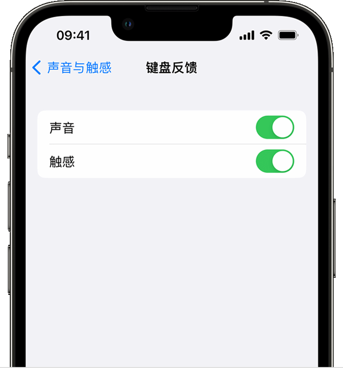 克拉玛依苹果14维修店分享如何在 iPhone 14 机型中使用触感键盘 