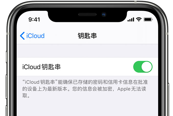 克拉玛依苹果手机维修分享在 iPhone 上开启 iCloud 钥匙串之后会储存哪些信息 