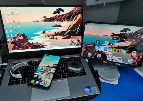 克拉玛依苹果手机维修分享为什么iPad屏幕更大价格却比iPhone低 