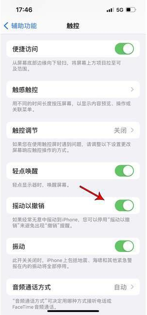 克拉玛依苹果手机维修分享iPhone手机如何设置摇一摇删除文字 